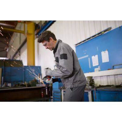  BOSCH 06017D0100 meuleuse d�an 