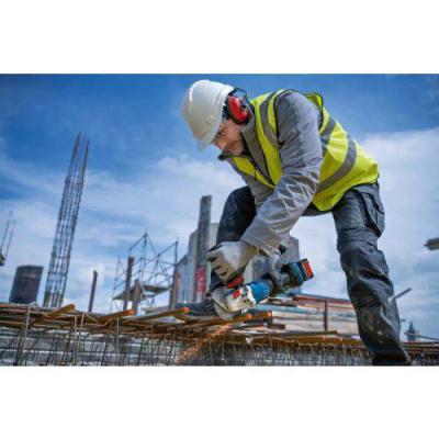  BOSCH 06019H6A00 meuleuse 125 