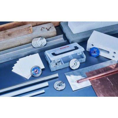  BOSCH EXPERT 061599764G coffre 