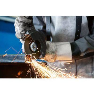  BOSCH 06013A6101 meuleuse d'an 