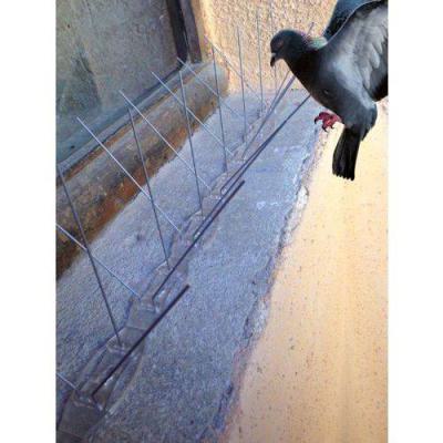  DALEP 603015 Pics anti-oiseaux 
