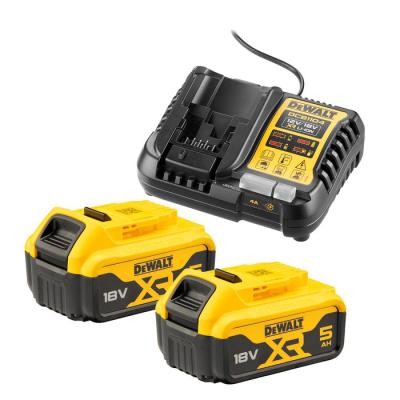  DEWALT DCZ100P2KT-QW ensemble 