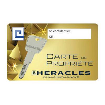  HERACLES 863860-02-0AFB jeu de 