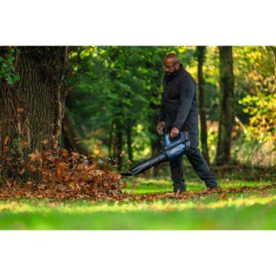  BOSCH 06008D2200 souffleur 18 