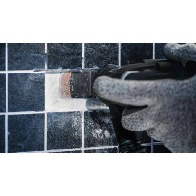  BOSCH 2608669122 lame de scie 