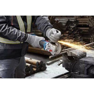  BOSCH 06019N9002 meuleuse d�an 