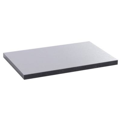  PLAQUE SS  BTE METAL 12/18M 