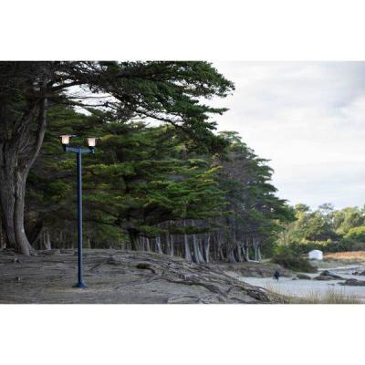  Roger Pradier - Lampadaire Ber 