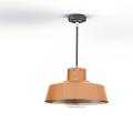  Roger Pradier - Suspension Fak 
