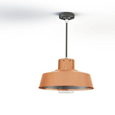  Roger Pradier - Suspension Fak 