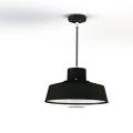  Roger Pradier - Suspension Fak 