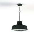  Roger Pradier - Suspension Fak 
