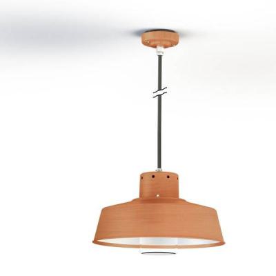  Roger Pradier - Suspension Fak 