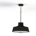  Roger Pradier - Suspension Fak 