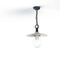  Roger Pradier - Suspension Mon 