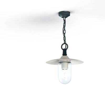  Roger Pradier - Suspension Mon 
