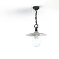  Roger Pradier - Suspension Mon 