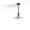  Roger Pradier - Suspension Mon 