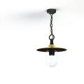  Roger Pradier - Suspension Mon 