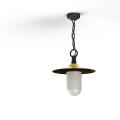  Roger Pradier - Suspension Mon 