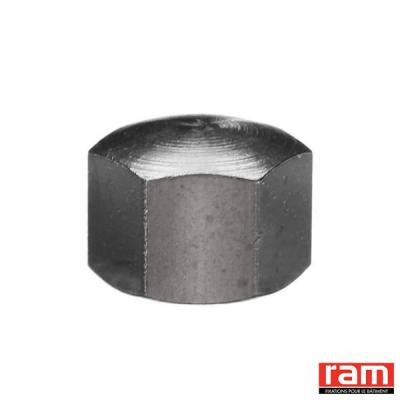  BTE 200 ECR BORGNE 8 MM LAITON 