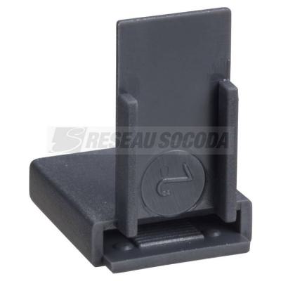  EMBOUT CACHE DENTS PEIGNE 