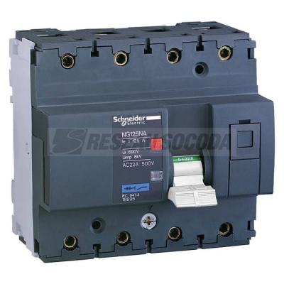  NG125NA 4P 80A 