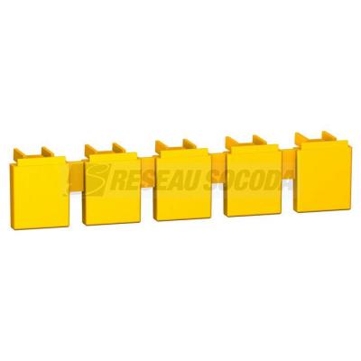  CACHE DENTS PR PEIGNE C60 