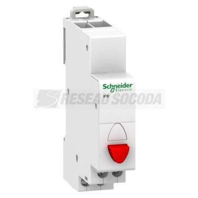  IPB SIMPLE ROUGE NF 