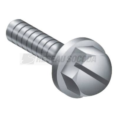  V1S TH 8X20 RONDEL PLATE 