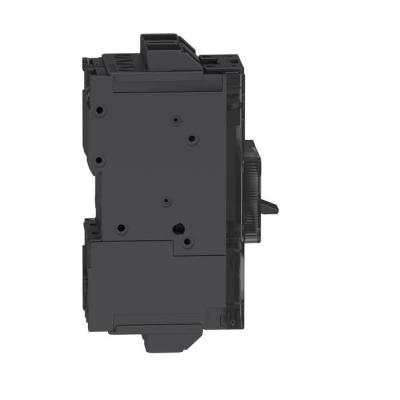  PPB 35KA TM40D 2P ever 