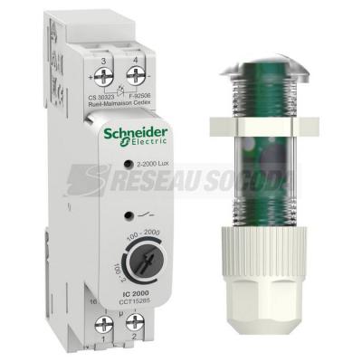  Inter cr�pus + cellule tableau 