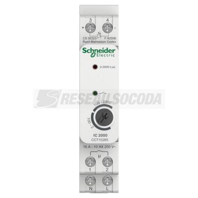  Inter cr�pus + cellule tableau 