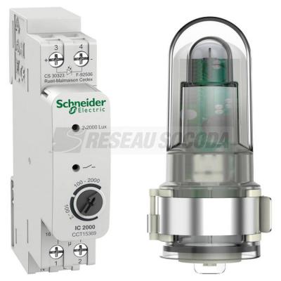  Inter cr�pus + cellule murale 