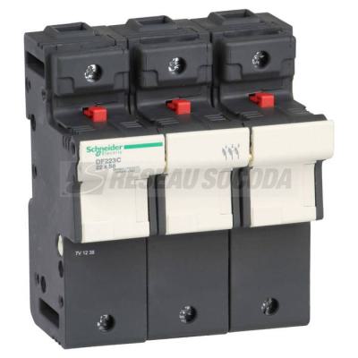  PORTE FUS 3P 125A POUR FU 