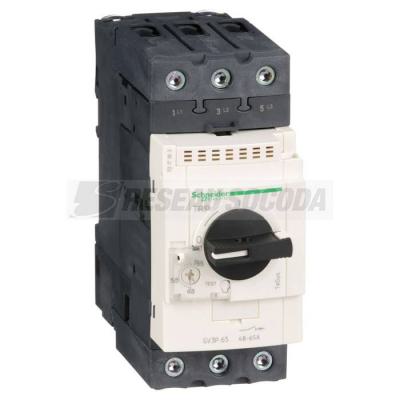  DISJONCTEUR MOTEUR 65A 