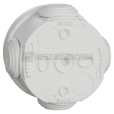  BTE DERIV EMBOUT D60 BLP 