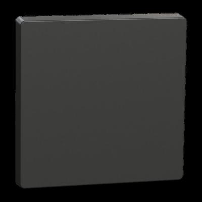  Enjoliveur Anthracite 