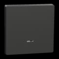  Enjo anthracite avec voyant 