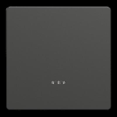  Enjo anthracite avec voyant 