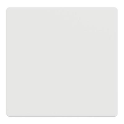  Enjoliveur blanc mat 