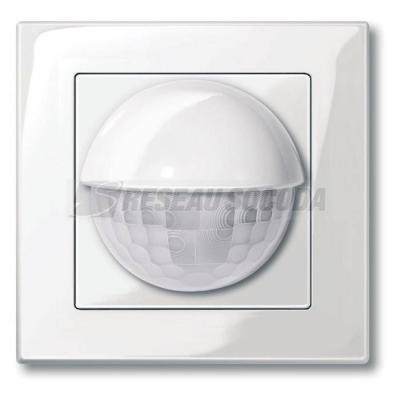  DETECT MVT INT MPLAN BLAN 