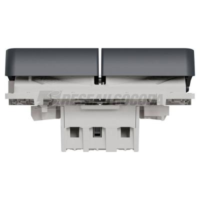  DB BP VR GRIS COMPOSABLE 
