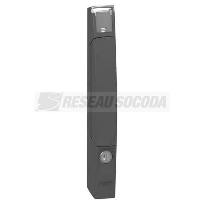  Poignee SF Bouton poussoi 