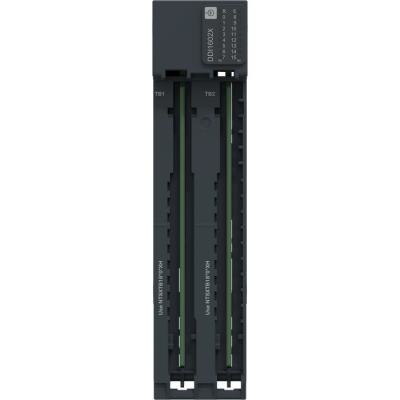  Eio NTS DI16 24VDC SNK DH Mod 