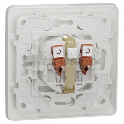  Prise 2P+T DE vis Blanc plaque 