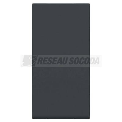  Bouton-pous NO 10A rap 1m Anth 
