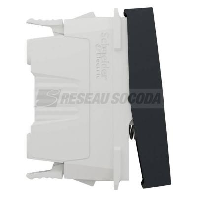  Bouton-p NO/NF 10A rap 1m Anth 