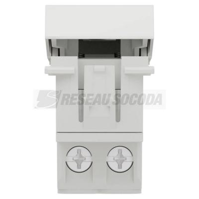  Inter bipolaire 16A 1m Blanc 