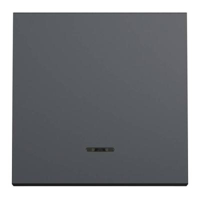  Poussoir lum local 10A 2m Anth 